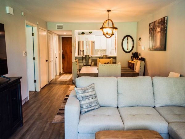 Tampa Condo 1017092