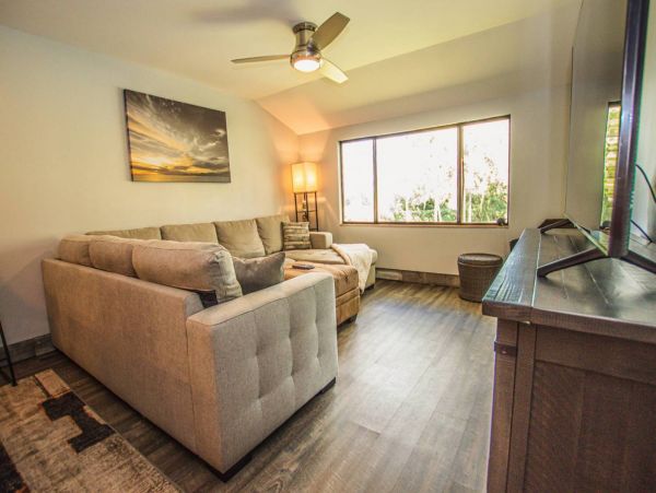 Tampa Condo 1017092