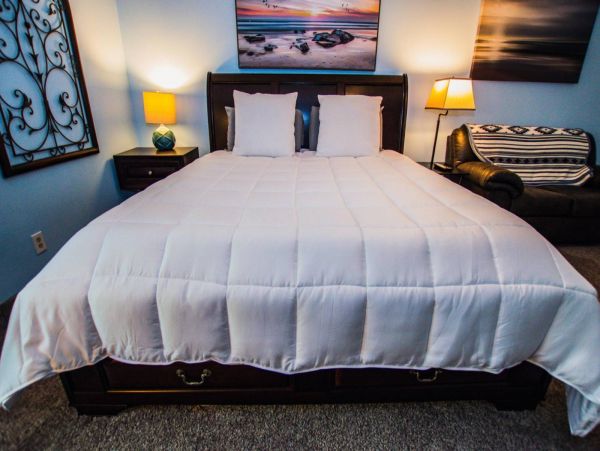 Tampa Condo 1017092