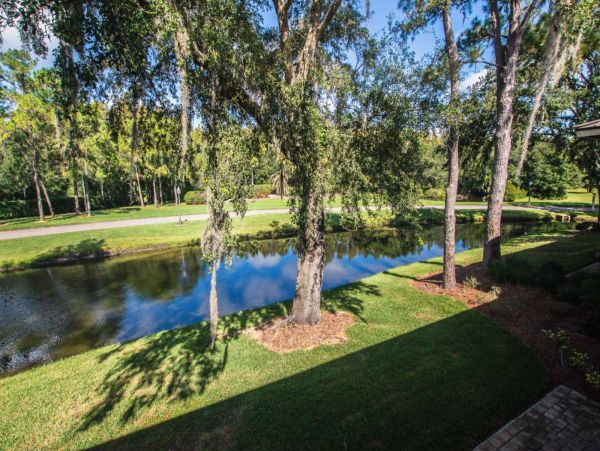 Tampa Condo 1017092