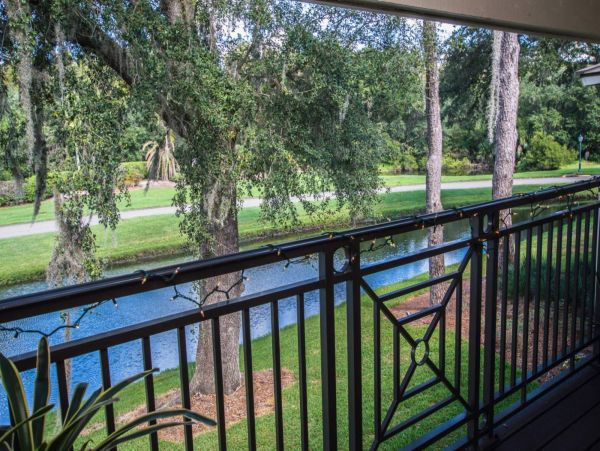 Tampa Condo 1017092