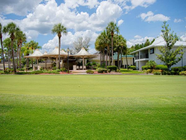 Tampa Condo 1017092