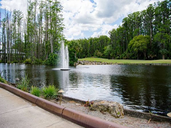 Tampa Condo 1017092
