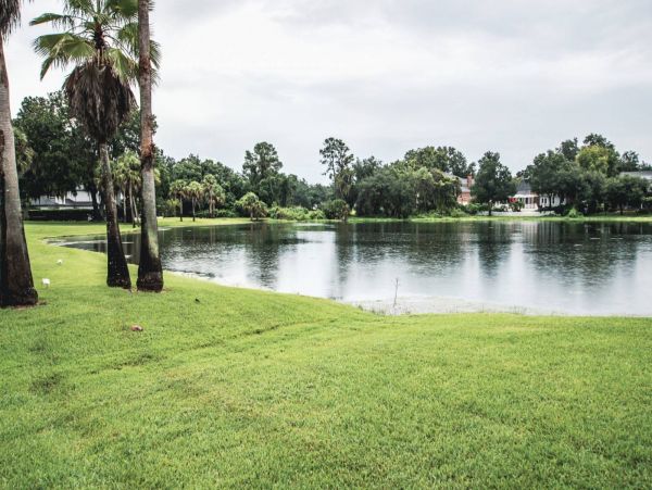 Tampa Condo 1017093