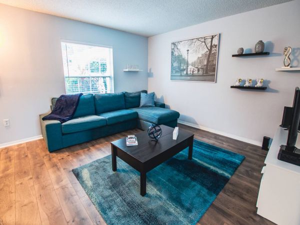 Tampa Condo 1017093