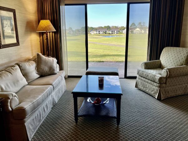 Tampa Condo 1017095
