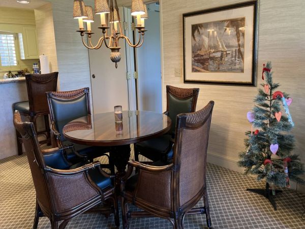 Tampa Condo 1017095
