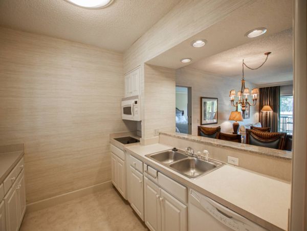 Tampa Condo 1017095