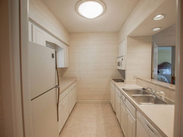 Tampa Condo 1017095