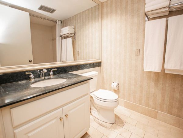 Tampa Condo 1017095