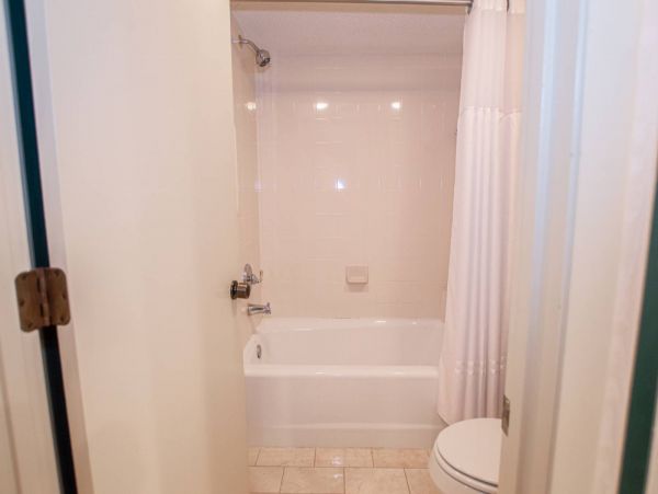 Tampa Condo 1017095