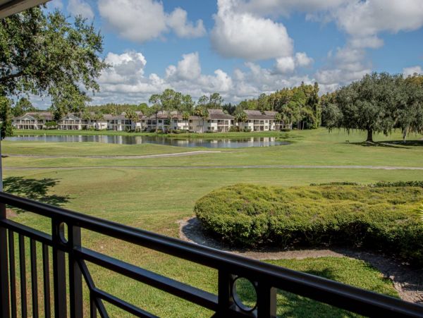 Tampa Condo 1017100