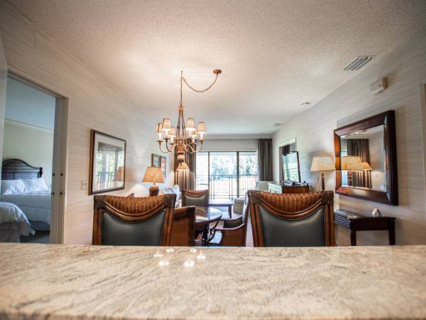Tampa Condo 1017100