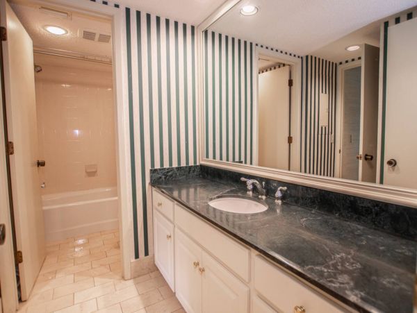 Tampa Condo 1017100