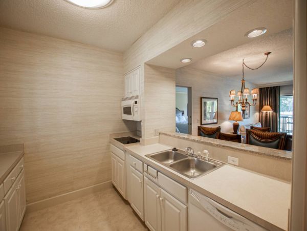 Tampa Condo 1017100