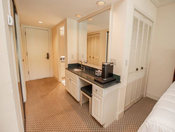 Tampa Condo 1017100