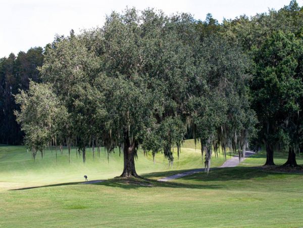 Tampa Condo 1017100