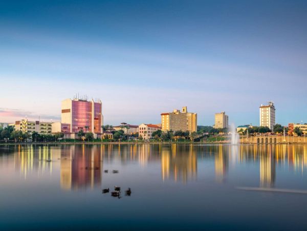 Tampa Condo 1017100