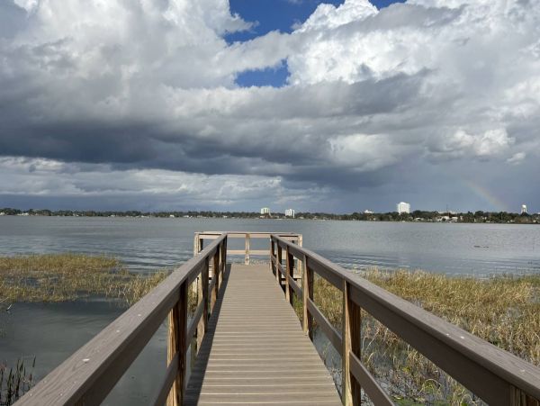 Tampa Home 1017102