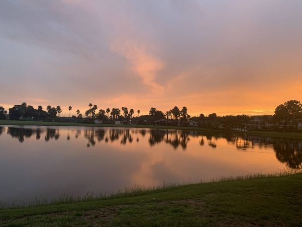 Tampa Condo 1017105