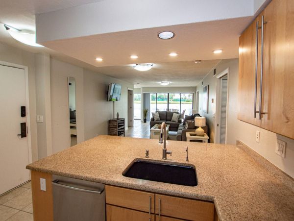 Tampa Condo 1017105