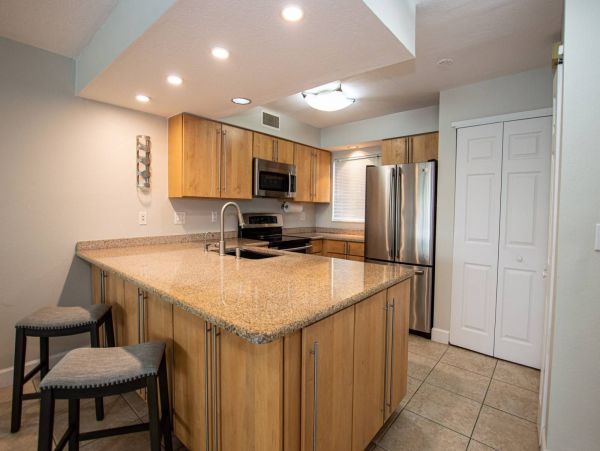 Tampa Condo 1017105