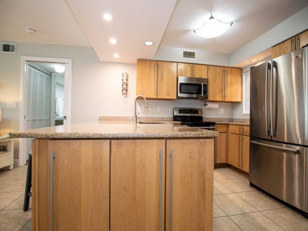 Tampa Condo 1017105