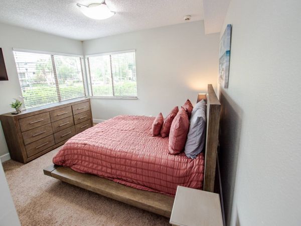 Tampa Condo 1017105