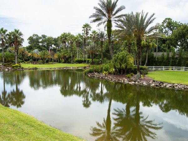 Tampa Condo 1017105
