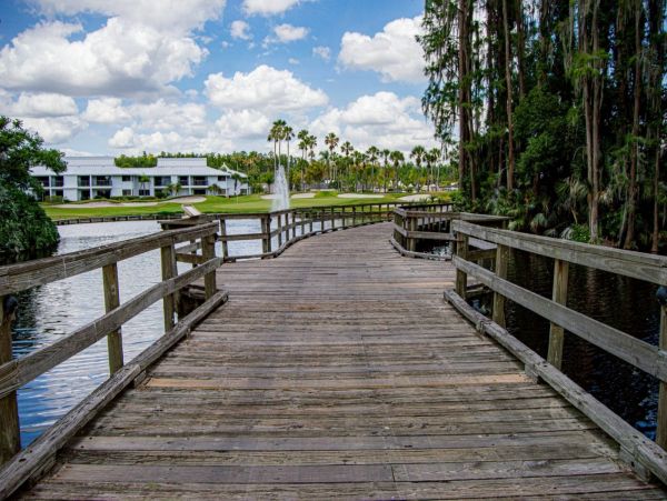 Tampa Condo 1017105