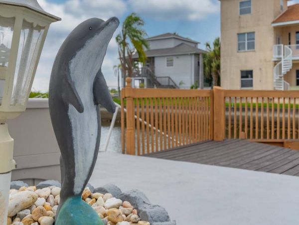 Tampa Home 1017112