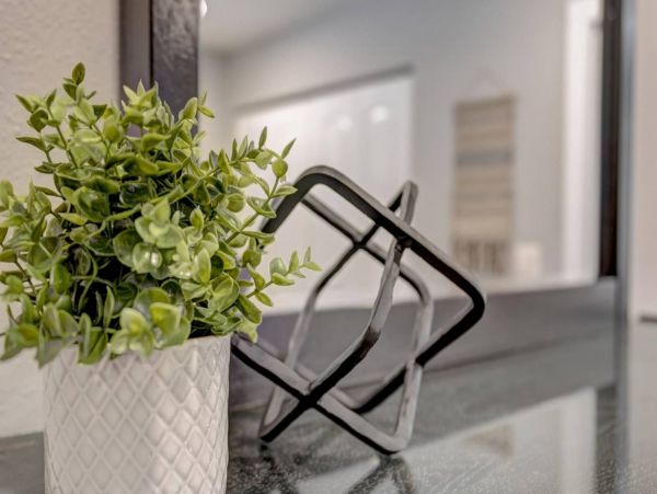 Tampa Home 1017115