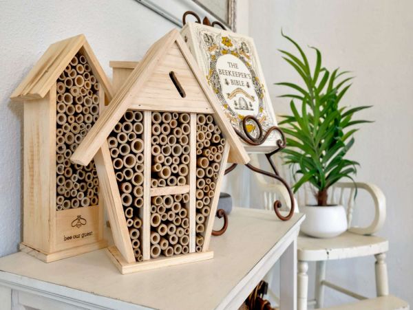 Tampa Home 1017119