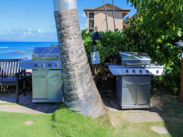 Kahana Home 1017130