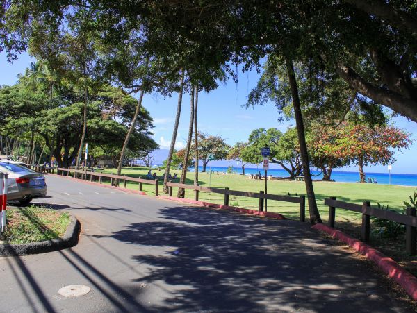 Kahana Home 1017130