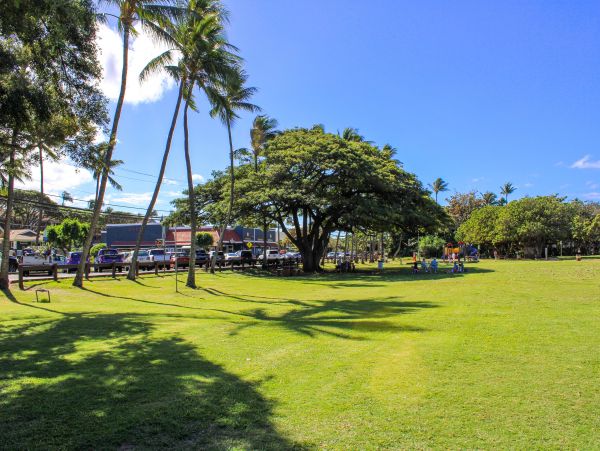 Kahana Home 1017130