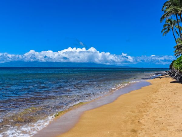Kaanapali Home 1017131