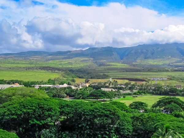 Kaanapali Home 1017131