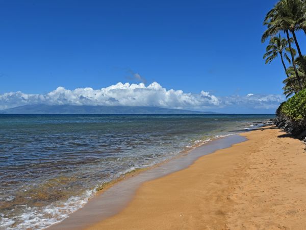 Kaanapali Home 1017132