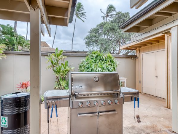 Kahana Home 1017134