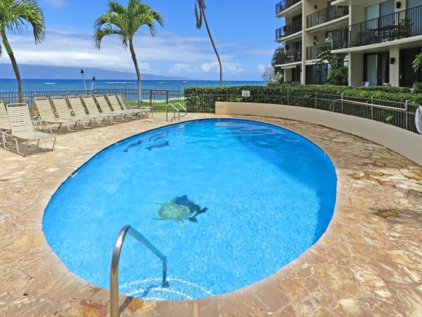 Kahana Home 1017135