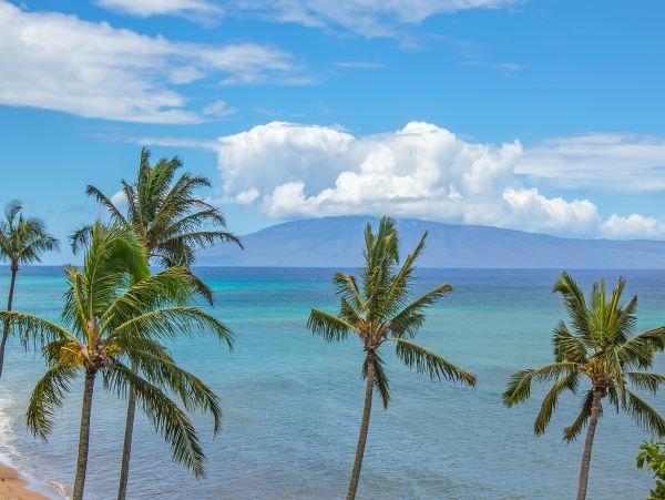Kahana Home 1017135