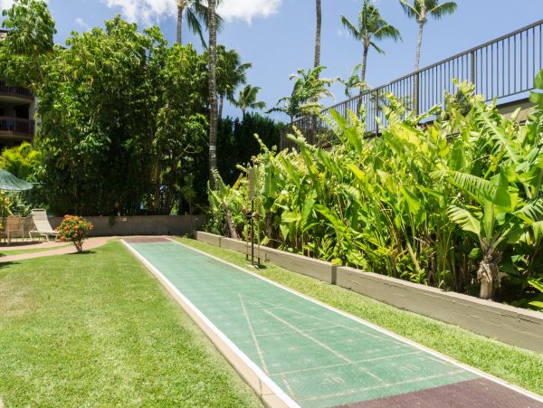 Kahana Home 1017137