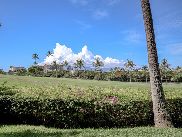 Lahaina Home 1017138