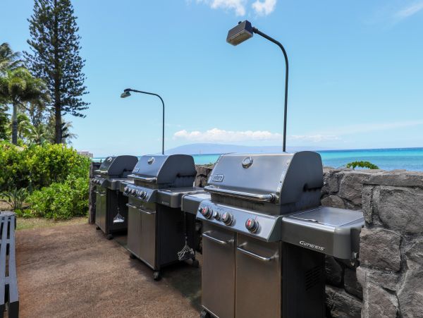 Kahana Home 1017142