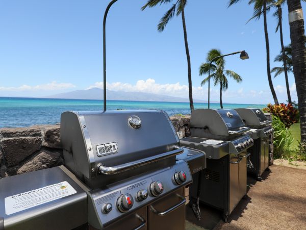 Kahana Home 1017147