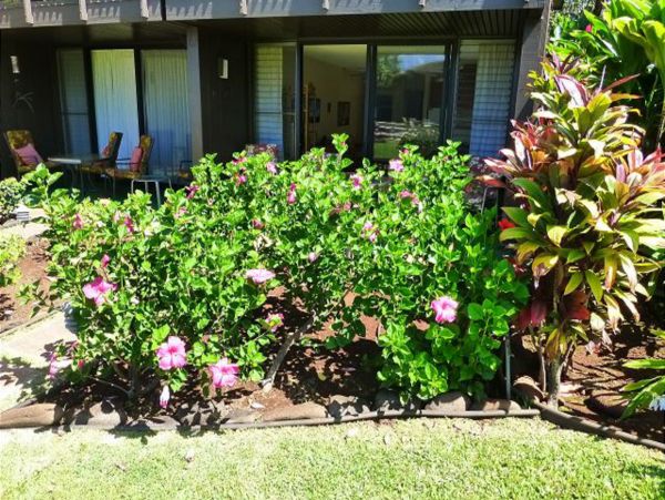 Kahana Home 1017149