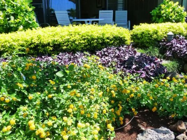 Kahana Home 1017150