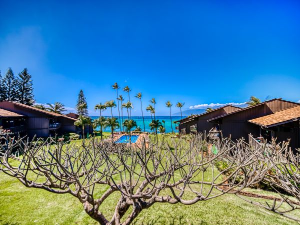 Kahana Home 1017151
