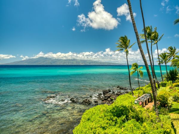 Kahana Home 1017152